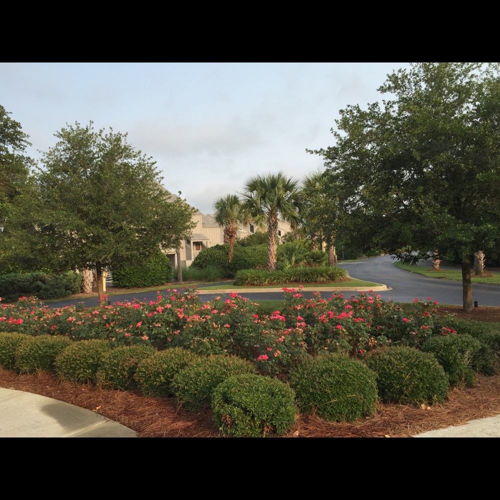 Meet your Posher, Sierra